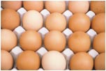 Eggs by Joan Francis