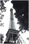Eiffel Tower by Joan Francis
