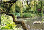 Monet's Garden by Joan Francis