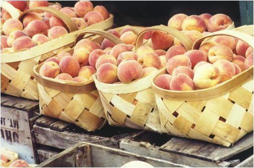 Baskets of Peaches by Joan Francis Photography