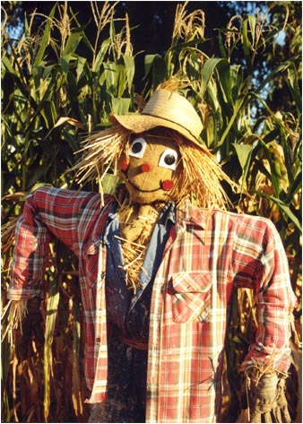 Scarecrow by Joan Francis Photography
